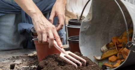 Composteira Doméstica: Como Fazer e Benefícios para o Ambiente