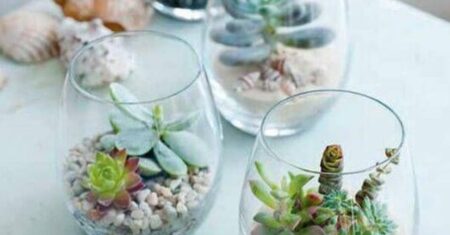 Mini Terrário: Natureza em Escala para Encantar seus Ambientes Internos