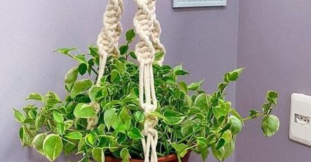 Suporte de Planta em Macramê: Beleza e Funcionalidade Decorativa