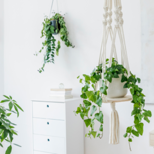 Suporte de Planta de Macramê: 5 Dicas + Fotos de Inspiração