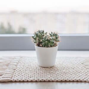 Caminho de mesa pequena de crochê: Charme para sua decoração