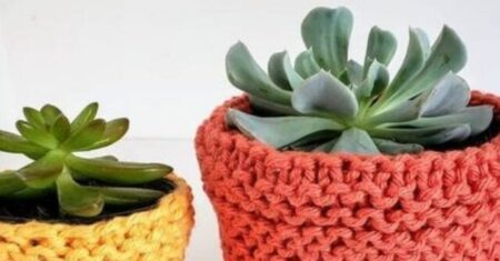 Cachepot de Crochê: Dicas para Fazer e Decorar com Estilo